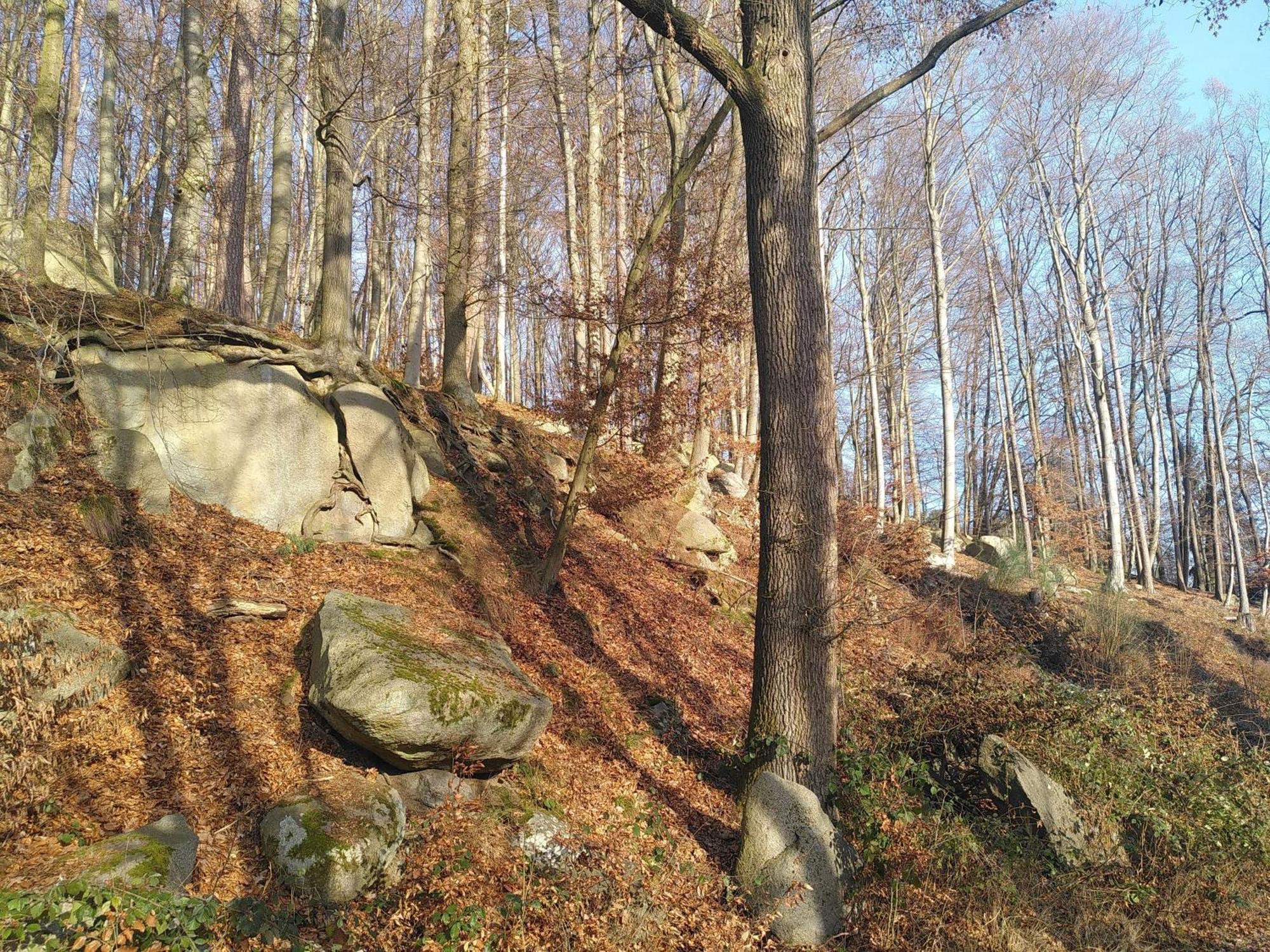 Strandurlaub Am Felsenmeer Modautal ภายนอก รูปภาพ